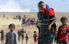 Kadın işçilerin yüreği, Filistinli, Rojavalı, Şengalli kadınlarla!