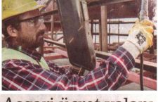 BirGün gazetesinde Asgari Ücret yazı dizisi