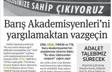 BirGun