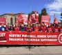 Trakya’da Emekçi Buluşmaları